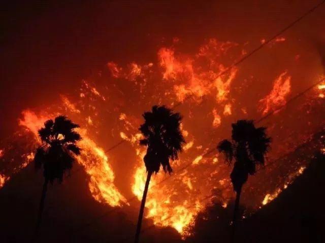 美国加州又双叒叕爆发山火了，直接威胁到天使城_fororder_20171207125220869