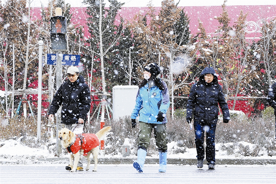 大連導盲犬服務冬殘奧會_fororder_2