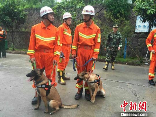 福建泰宁泥石流灾害：两条搜救犬进入核心区展开搜救