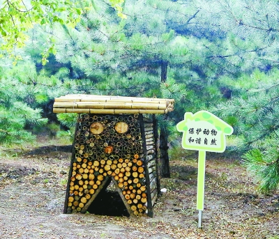 京郊林地現“昆蟲旅館” 方便小蟲棲息藏身