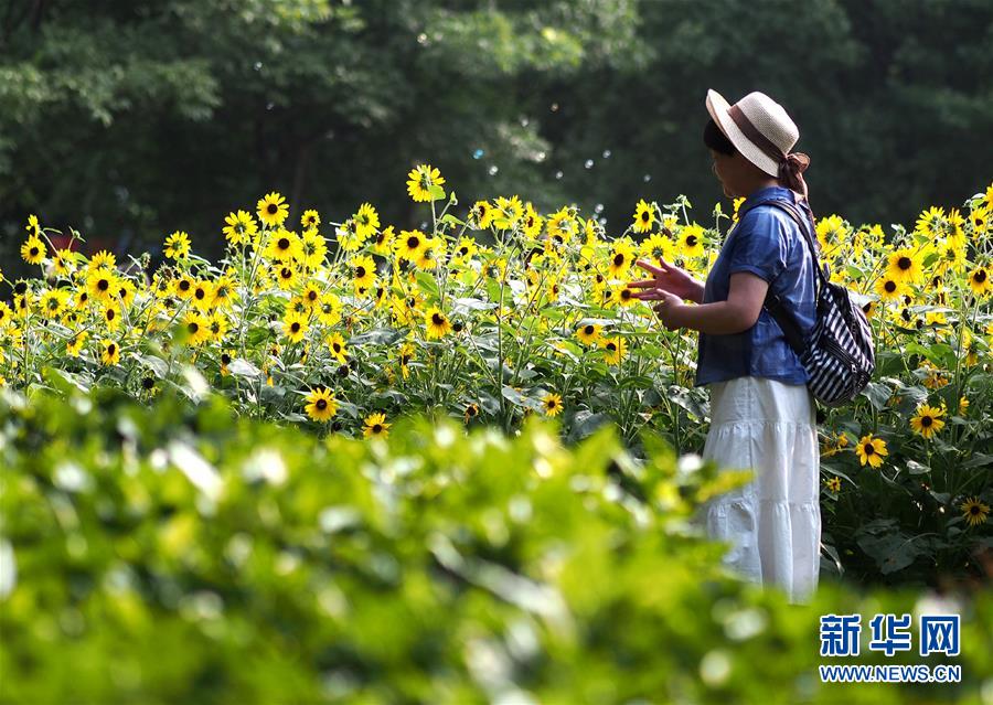 上海：暫別陰雨 遊人賞花