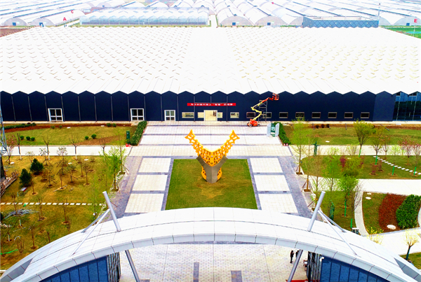 图片默认标题_fororder_11