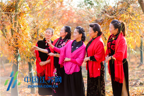 江苏如皋：冬日枫林旗袍秀
