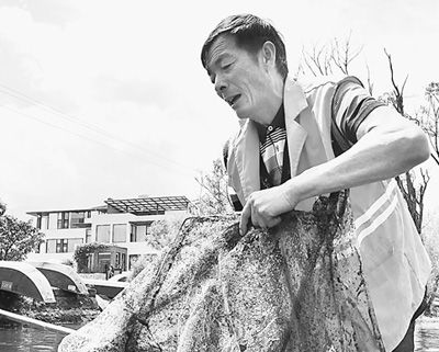 人民日報:輕舟過洱海 碧波萬頃開