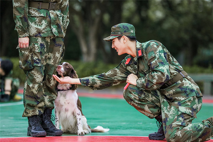 《奇兵神犬》高萌幼犬亮相 杨烁姜潮遇丢犬危机