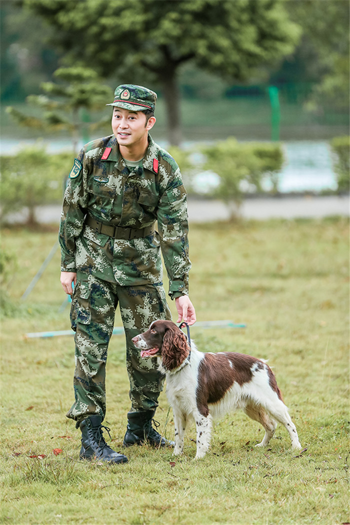 奇兵神犬高萌幼犬亮相楊爍姜潮遇丟犬危機