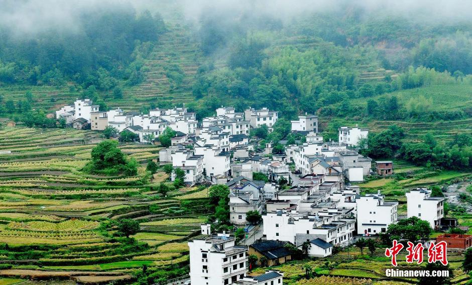 “中国最美乡村”婺源烟雨弥漫 如梦如幻