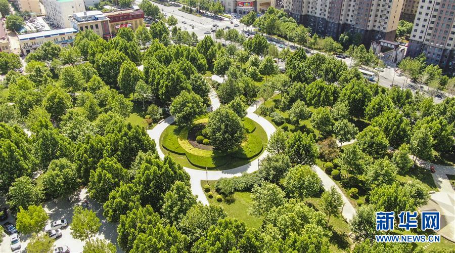河北霸州大力建设城市公园