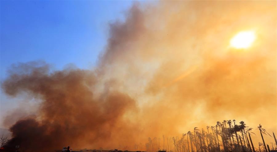 美国加州南部山火灾情初步得到控制