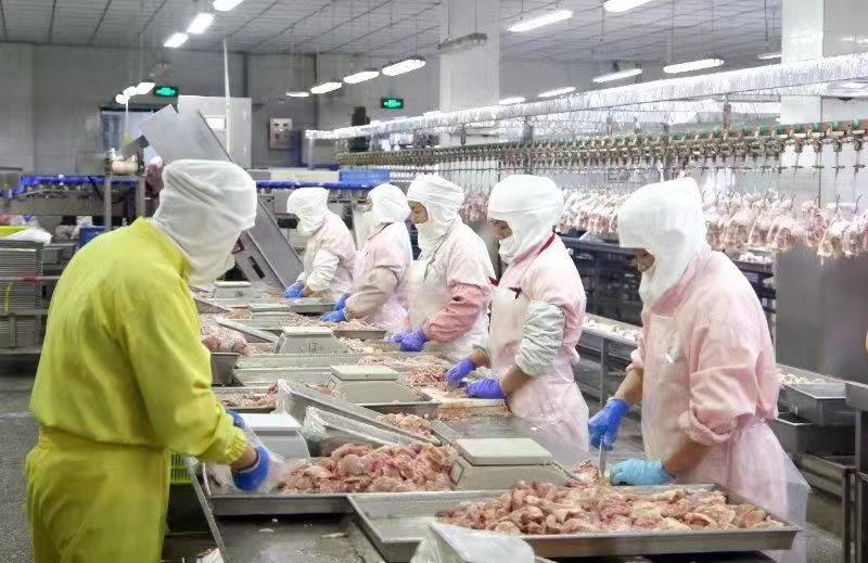 泾河新城切实优化提升营商环境 助力企业成长