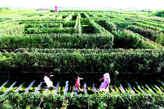 天门：农旅融合天地阔