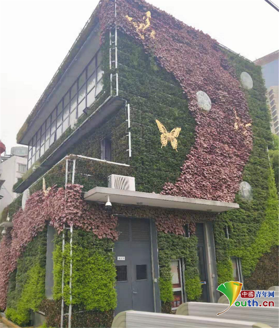 “绿色魔毯”让荒山绽放“五彩笑脸”