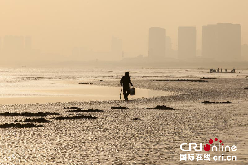 山东烟台：赶海“淘宝”绘就冬日海滩别样风景