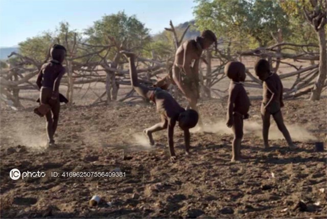 图片默认标题_fororder_野生动物-5