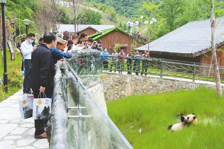 项目将建成大熊猫科普教育展示基地,野化培训放归基地,大熊猫与九寨沟