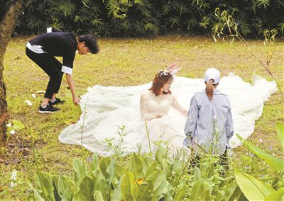 广州海珠湿地将代表中国角逐“迪拜奖”