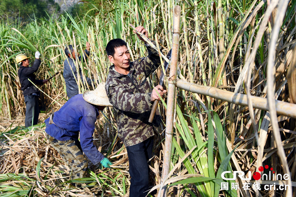 图片默认标题_fororder_4