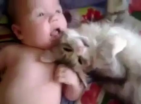 最萌最暖心組合：嬰兒和貓咪躺床上親密玩鬧(圖)