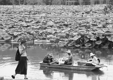 圖片默認標題_fororder_微信圖片_20190718112046