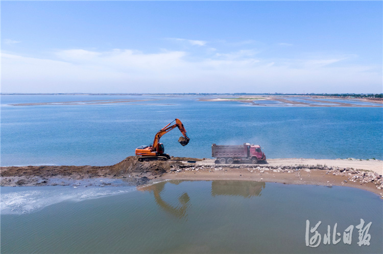 河北秦皇岛：七里海潟湖湿地生态修复进行中