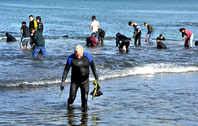 明年还有三次机会可以挖鲍鱼_fororder_002kjDimgy6N3DOgvVu68&690