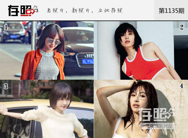 刘涛曹曦文王子文papi酱 别怪脸盲,她们实在长太像!