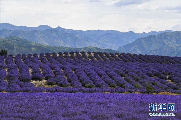 图片默认标题_fororder_1126129549_15924468114181n