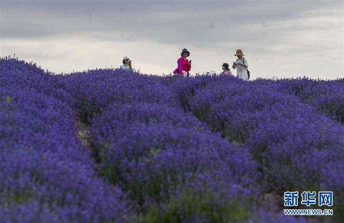 图片默认标题_fororder_1126129549_15924468114711n