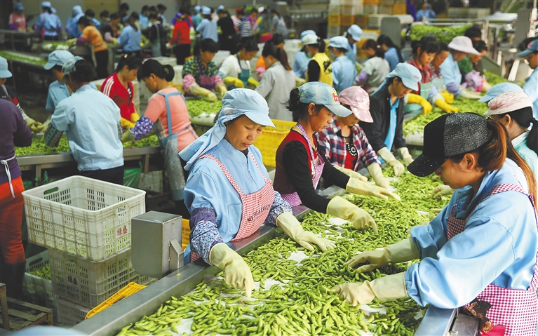 【焦點圖】【食品農業圖文】【即時快訊】海南農産品俏銷島外