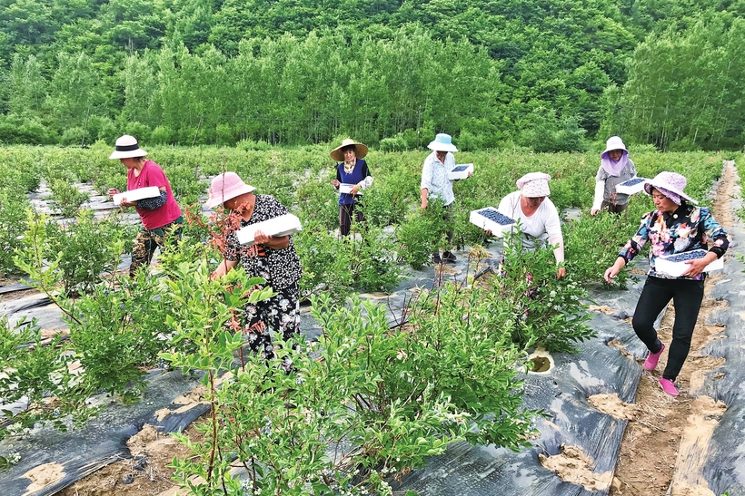 吉林白山精準施策 探索扶貧開發新路子