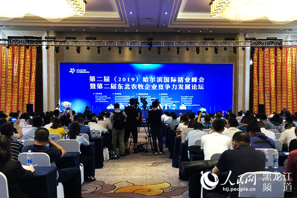 第二届（2019）哈尔滨国际猪业峰会7月19日开幕 专家齐聚龙江助推生猪产业发展