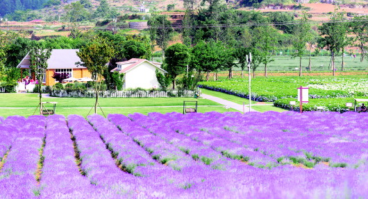 （中首）山里江南 画图难足