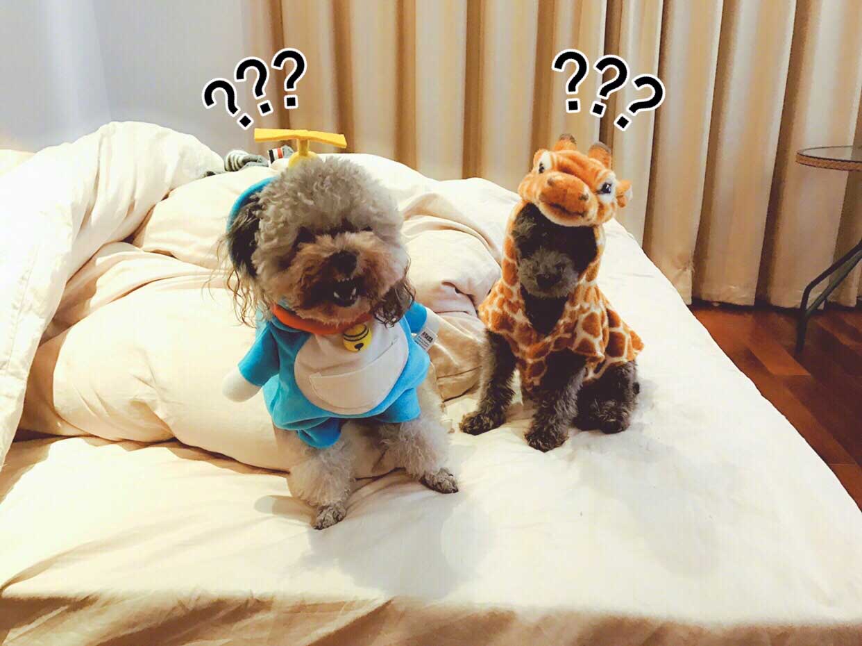 图片默认标题_fororder_陈学冬祝福颖儿3