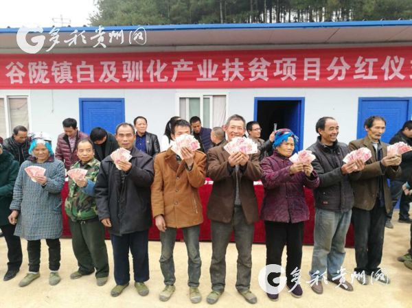 (大扶貧/市州)黃平:100戶貧困戶喜領産業扶貧“大禮包” (大扶貧/市州)黃平:100戶貧困戶喜領産業扶貧“大禮包”