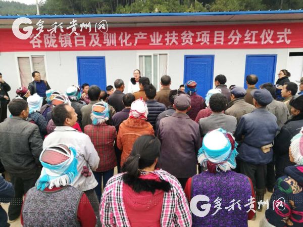 (大扶貧/市州)黃平:100戶貧困戶喜領産業扶貧“大禮包” (大扶貧/市州)黃平:100戶貧困戶喜領産業扶貧“大禮包”