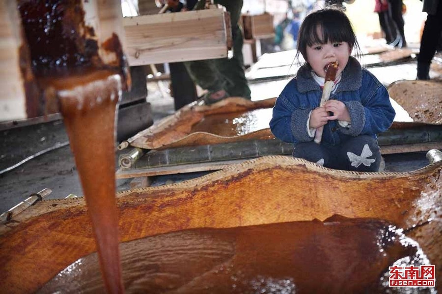 【高清图4】【滚动新闻】松溪“百年蔗”旅游节乐翻天 趣味体验古法做红糖
