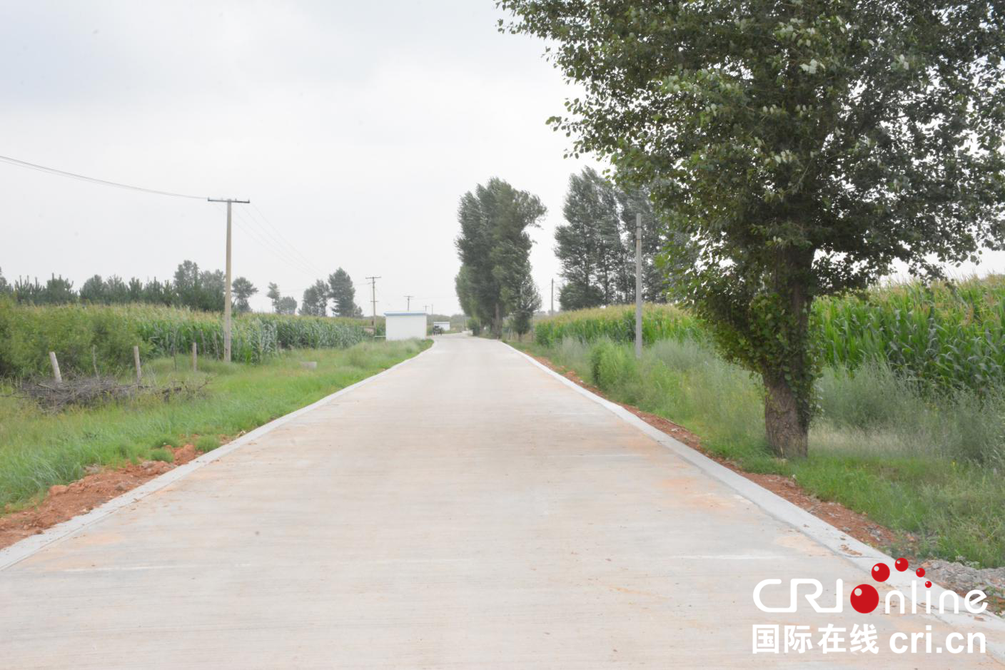 陕西神木：141家企业帮扶133个贫困村结硕果 低收入村让脱贫致富劲头足