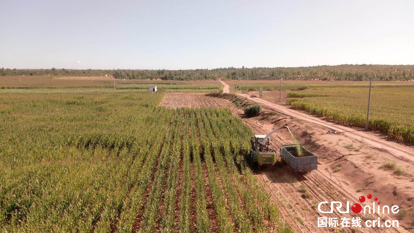 陕西神木：141家企业帮扶133个贫困村结硕果 低收入村让脱贫致富劲头足