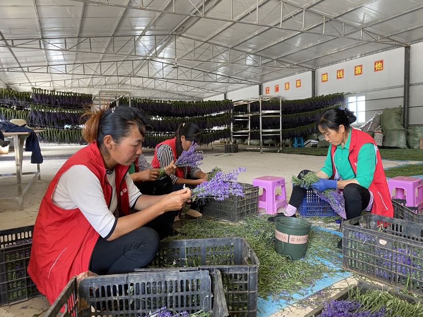 图片默认标题_fororder_微信图片_20200619210921