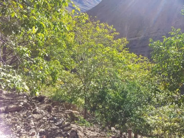 澜沧江上的这艘幸福小船,已经不是说翻就翻……