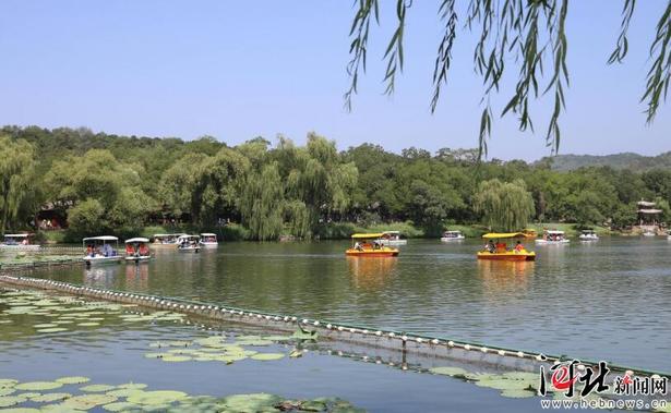 图片默认标题_fororder_2