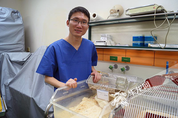 【聚焦重庆】重庆医生这项发现 有望延长肾移植患者生存率