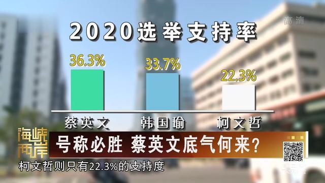 【海峡两岸】号称必胜 蔡英文底气何来？_fororder_3