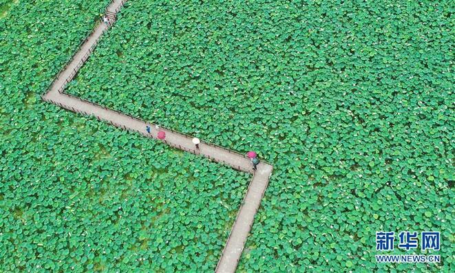 图片默认标题_fororder_1124780644_15637525962181n