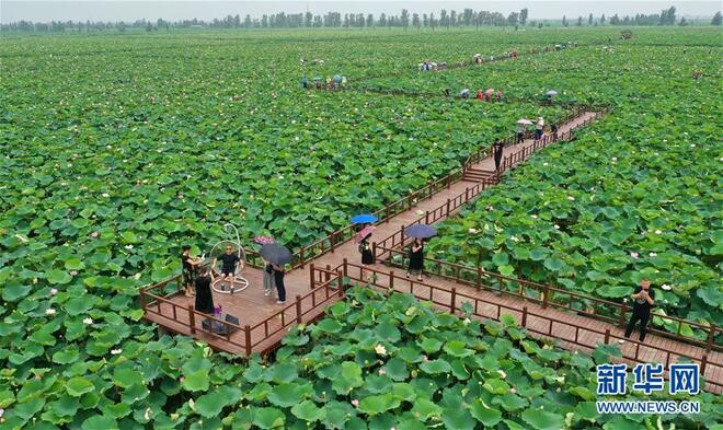 图片默认标题_fororder_1124780644_15637525963051n