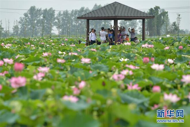 图片默认标题_fororder_1124780644_15637525962531n