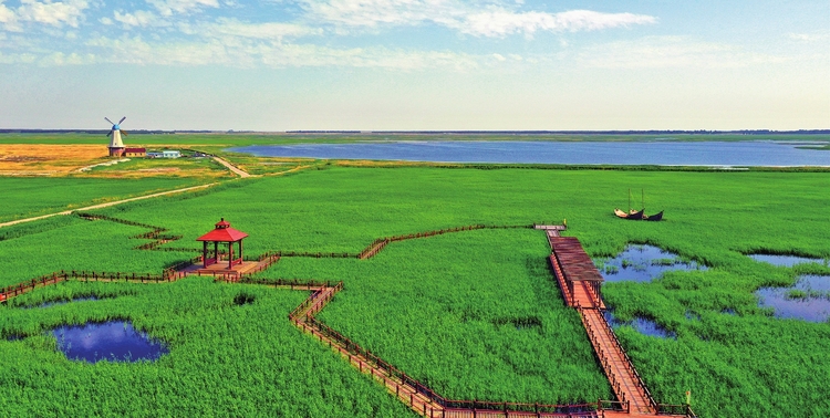 吉林牛心套保國家濕地公園生機重現