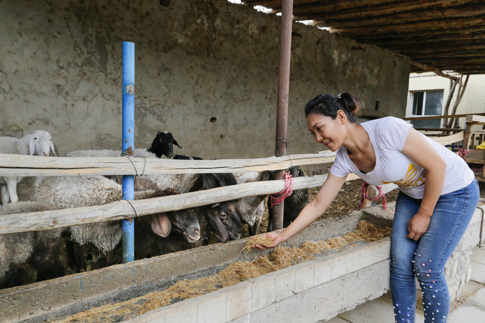 五年来新疆累计231万贫困人口脱贫,多村发展乡村旅游致富