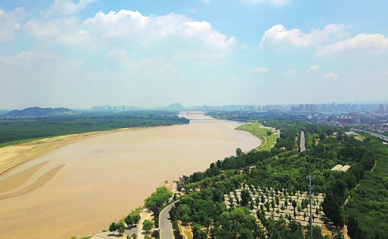 黃河兩岸綠化提升生態美