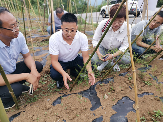 貴州六盤水開展中藥材種植技能培訓